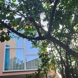 Karanxha's Tirana
