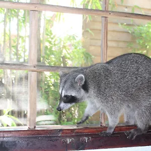 Close To The Town Utopia , Holbox Mexique